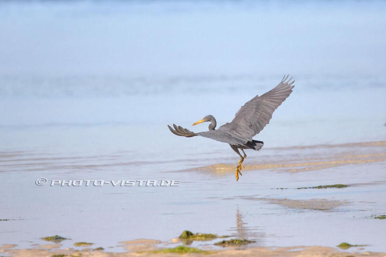 Готель Camotes Eden Himensulan Екстер'єр фото
