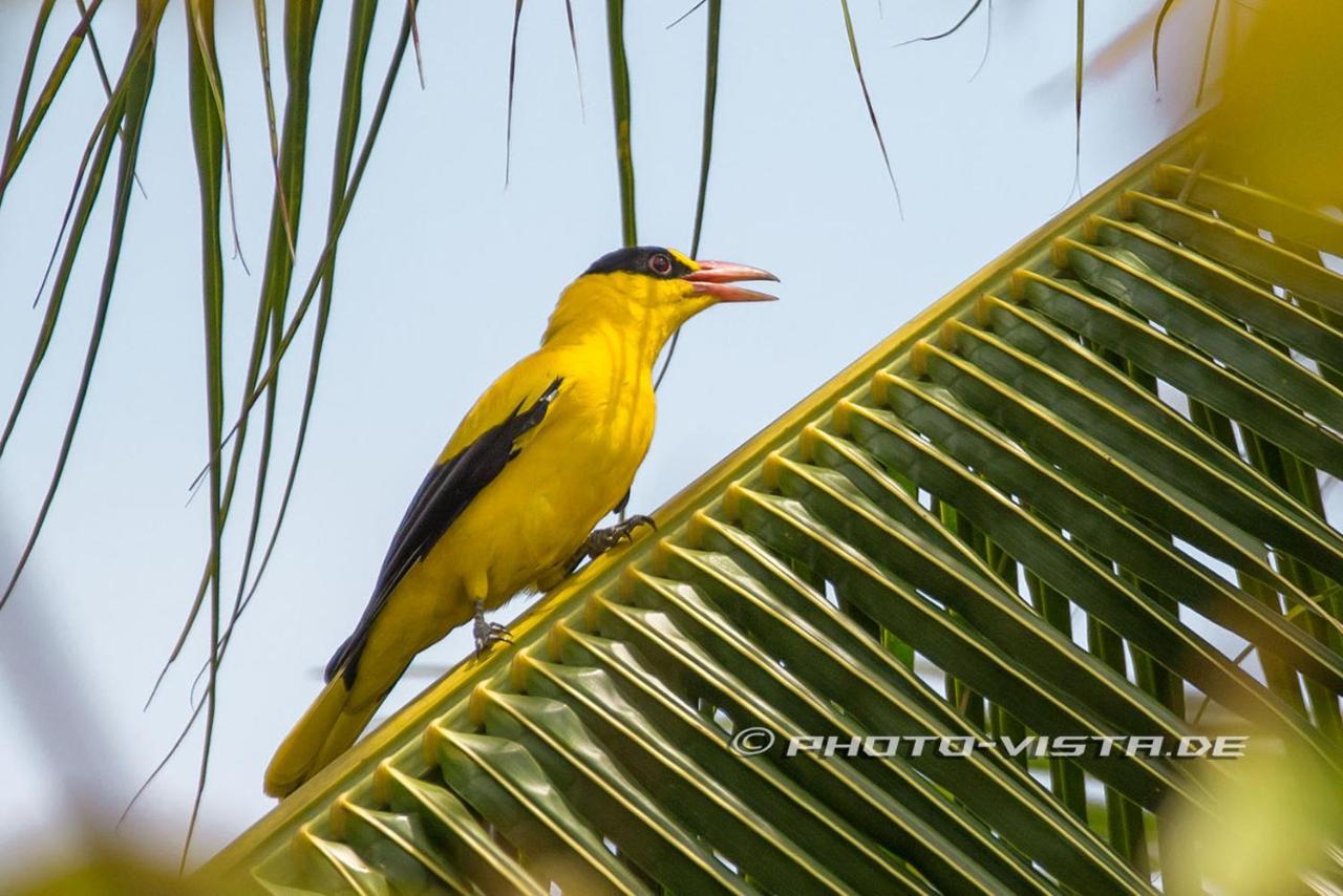 Готель Camotes Eden Himensulan Екстер'єр фото