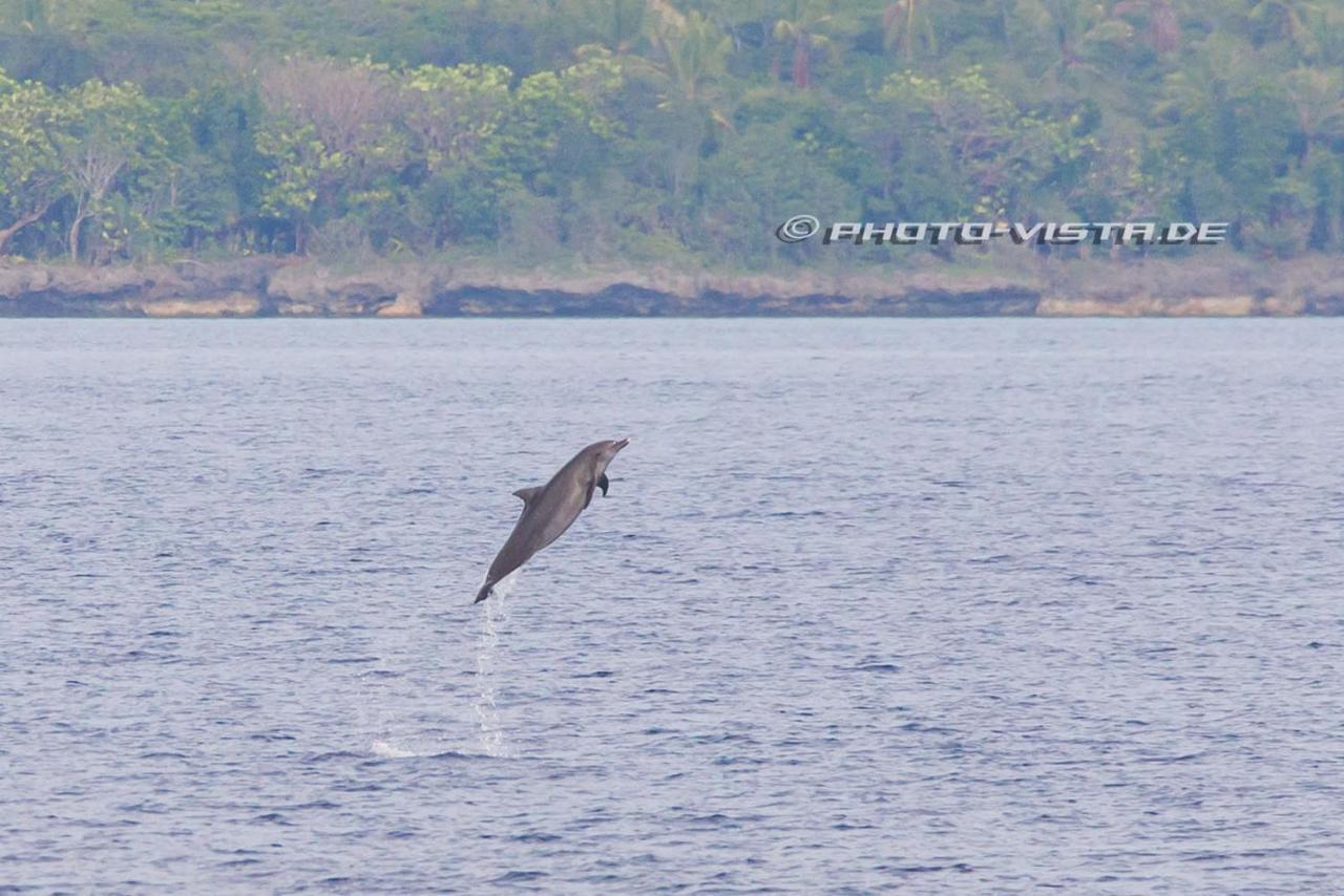 Готель Camotes Eden Himensulan Екстер'єр фото