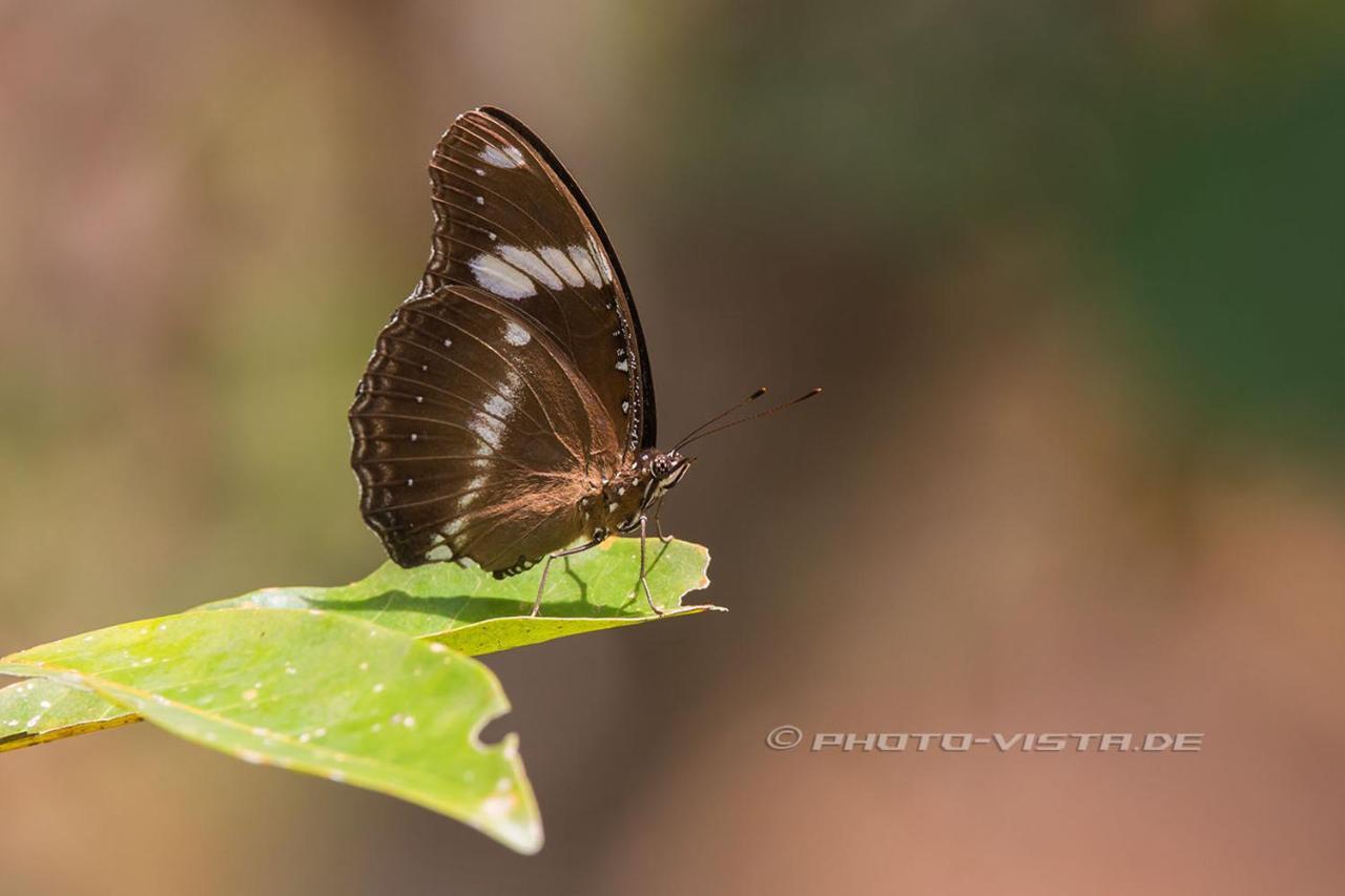 Готель Camotes Eden Himensulan Екстер'єр фото